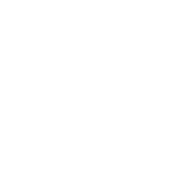 IT Service Icon
