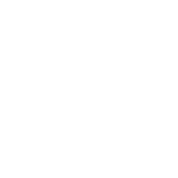Vertrieb Icon